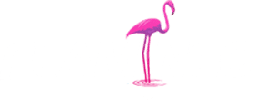Flamingo Collision Center